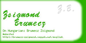 zsigmond brumecz business card